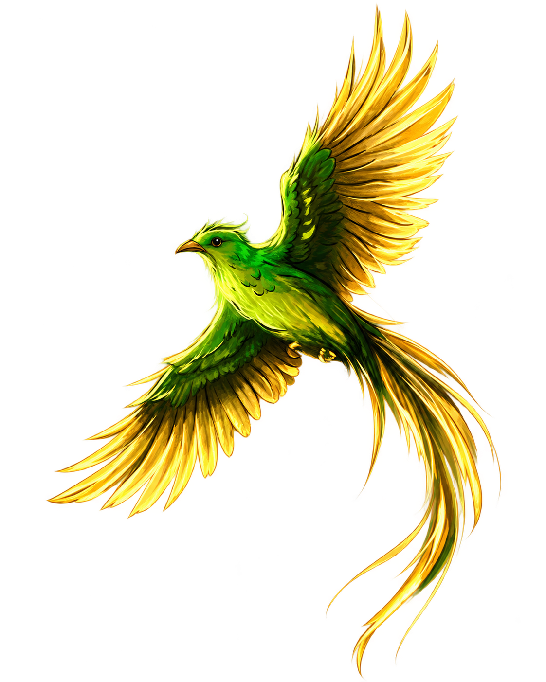 Quetzal
